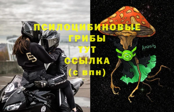 марки nbome Горнозаводск